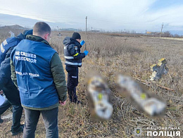 Катування та вивезення майна: що відомо про воєнні злочини рф в деокупованих громадах Миколаївської області